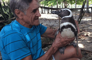 пінгвіни теж щедрі на подяку