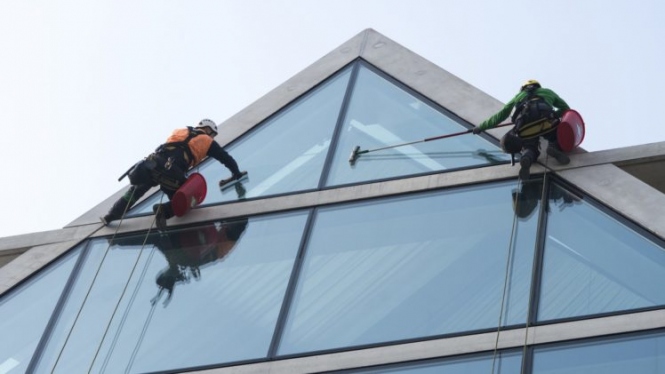 professional window cleaning